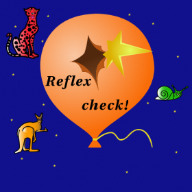 couverture jeu vidéo Reflex Check - Balloon Destroyer