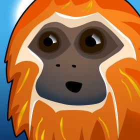 couverture jeu vidéo RIN the Tamarin