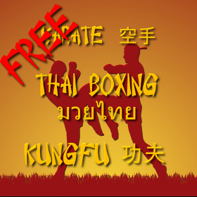 couverture jeu vidéo Rising Sun Boxing Free