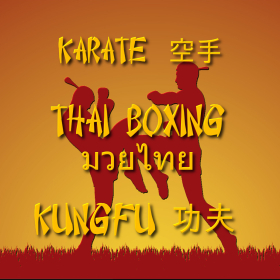 couverture jeu vidéo Rising Sun Boxing