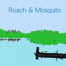 couverture jeu vidéo Roach & Mosquito