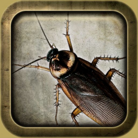 couverture jeu vidéo Roach Madness