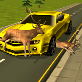 couverture jeu vidéo Road Kill 3D : Highway Animal Avoidance