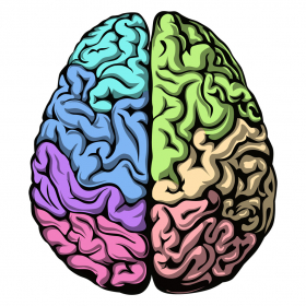 couverture jeu vidéo Rock'n'Roll Knowitall