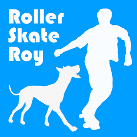 couverture jeu vidéo Roller Skate Roy