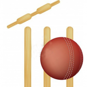 couverture jeu vidéo Ruby Cricket