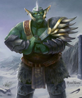 couverture jeu vidéo RuneScape