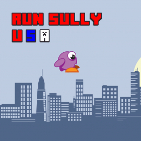 couverture jeu vidéo RunSullyUSA