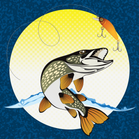 couverture jeu vidéo Russian Fishing