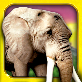 couverture jeu vidéo Safari Run - Jeu de Course de Animaux Sauvages pour Enfants