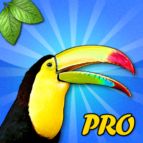 couverture jeu vidéo Safari Sonore Match Pro
