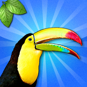couverture jeu vidéo Safari Sonore Match