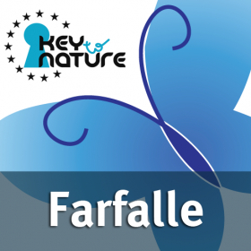 couverture jeu vidéo Sai riconoscere le farfalle?