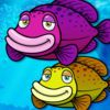 couverture jeu vidéo Salmon en amont Reef Run - PRO - nager ou évier 3D Tropical Fish Marine Dash