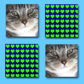 couverture jeu vidéo SameFace