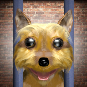 couverture jeu vidéo Save The Dog - the Free The Dog puzzle game