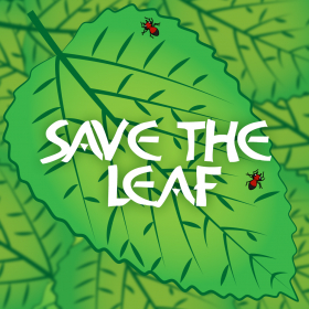 couverture jeu vidéo Save the Leaf