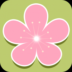 couverture jeu vidéo SecretGarden!