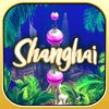 couverture jeu vidéo Shanghai Developer