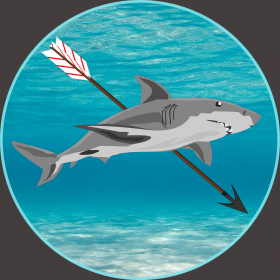 couverture jeu vidéo Shark Harcher