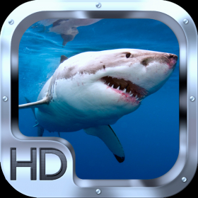 couverture jeu vidéo Shark Rampage Revenge