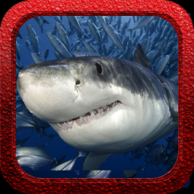 couverture jeu vidéo Shark Rush