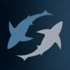 couverture jeu vidéo SHARK! SHARK!! SHARK!!!