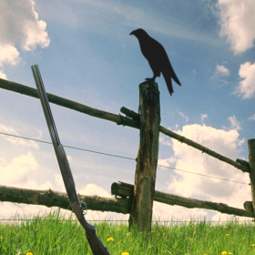 couverture jeu vidéo SharpShooting