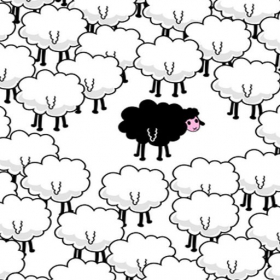 couverture jeux-video Sheep Zombie Survival