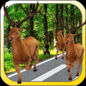 couverture jeu vidéo shikashikaFever