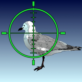 couverture jeu vidéo Shoot Those Gulls!