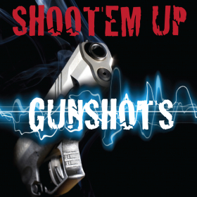 couverture jeu vidéo Shootem Up Gunshots