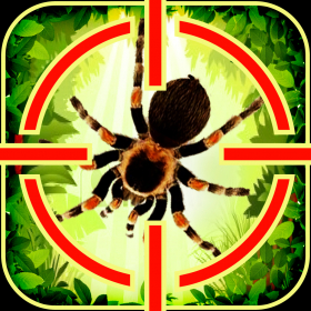couverture jeu vidéo Shooting age for Stone and Spider