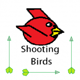 couverture jeu vidéo Shooting Birds