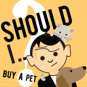 couverture jeu vidéo Should I Buy a Pet?
