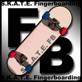 couverture jeu vidéo SKATE Fingerboard
