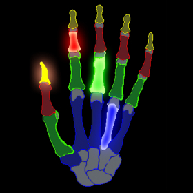 couverture jeu vidéo Skeleton Hand