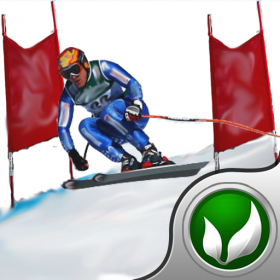 couverture jeux-video Ski Fly - The skier's I 've got a skiing jones racing game