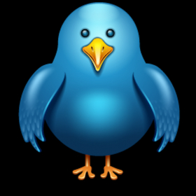 couverture jeu vidéo Sky Bird : The Flight Home