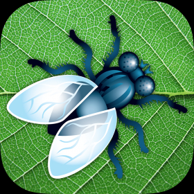 couverture jeu vidéo Smash the Mosquito