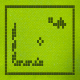 couverture jeu vidéo Snake 2k