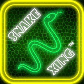 couverture jeu vidéo Snake Xing for iPad