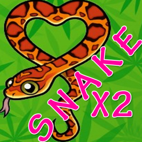 couverture jeux-video SnakeX2