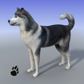 couverture jeu vidéo Snow Dog Survival