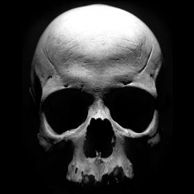 couverture jeu vidéo Sons of Anarchy: The Prospect