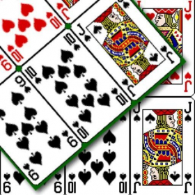 couverture jeu vidéo Speedy Ting Lite