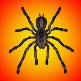 couverture jeu vidéo Spider Attack