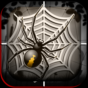 couverture jeu vidéo Spider Slider Mayhem Avenger Puzzle Pro