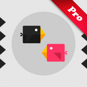 couverture jeu vidéo Spikes 2 Birds Pro
