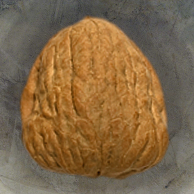 couverture jeu vidéo SpotTheHustle